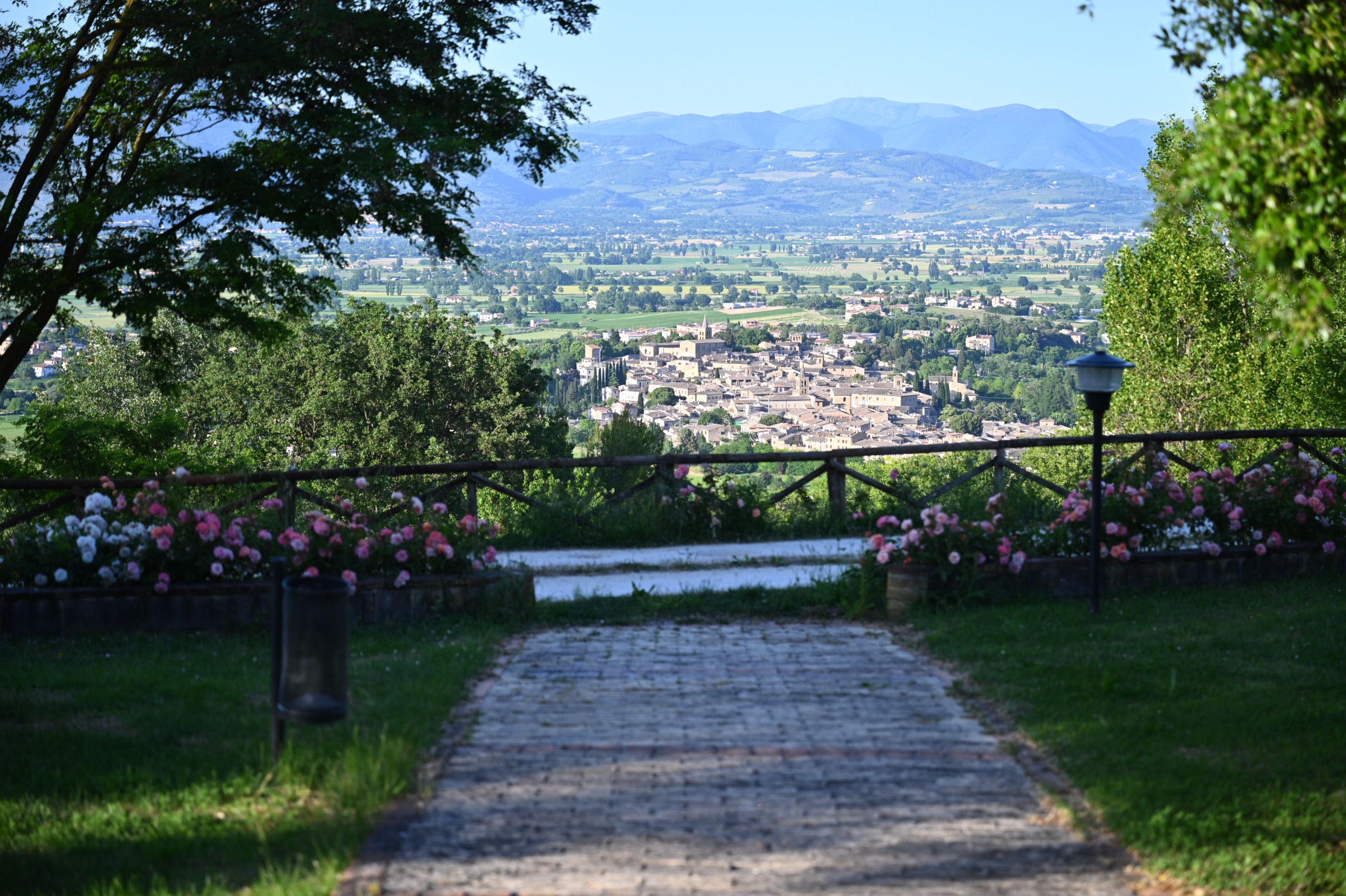 La natura intorno al Poggio dei Pettirossi